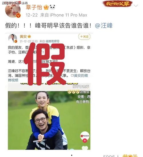 摸鱼吃瓜甩锅,揭秘职场生存法则