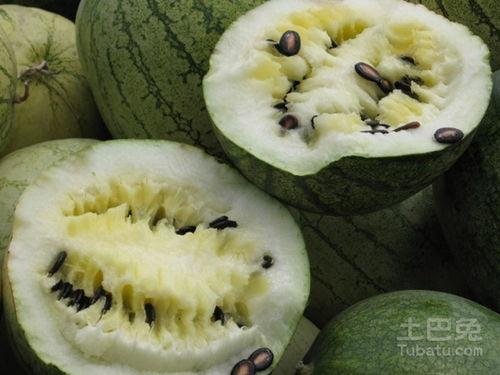 吃籽瓜的段子,一场关于甜蜜与挑战的味蕾冒险