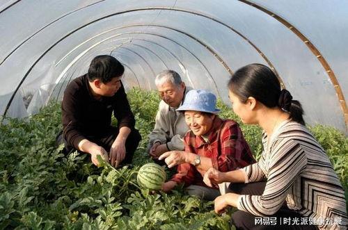 吃瓜社牛,揭秘娱乐圈背后的真实故事
