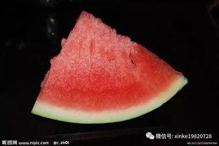 梦到偷瓜吃瓜,偷瓜吃瓜的奇幻之旅