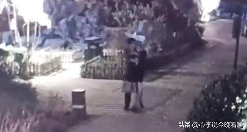 现场吃瓜原视频,一幕幕精彩瞬间回顾