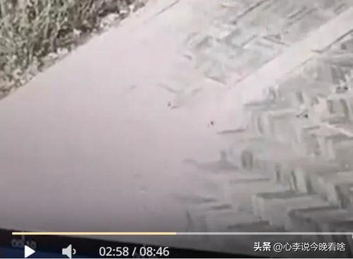 现场吃瓜原视频,一幕幕精彩瞬间回顾