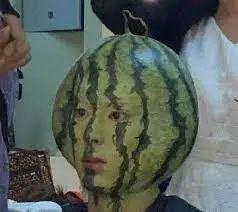 北美留学圈吃瓜,揭秘留学生活中的“吃瓜”趣事