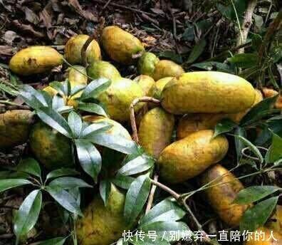 野瓜怎么吃才成熟,解锁自然美味之道