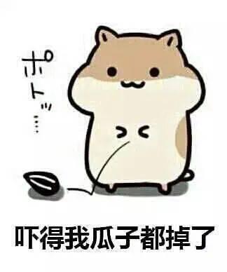 吃瓜群众怎么安排,揭秘网络围观背后的心理与现象