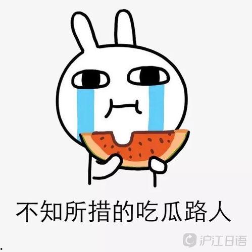 崽崽吃瓜站,揭秘娱乐圈幕后故事,带你领略明星真实一面