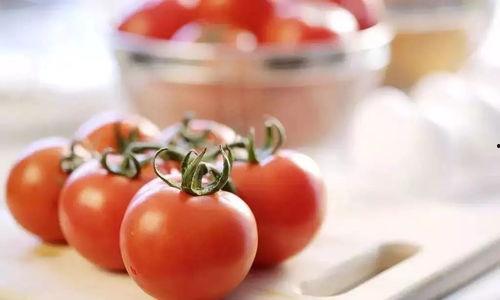 推文番茄吃瓜宝宝,趣味横生的亲子互动时光