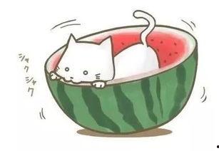 看球吃瓜文案,一场看球吃瓜的盛宴