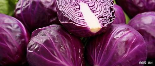 紫色背景吃瓜,揭秘娱乐圈的幕后故事