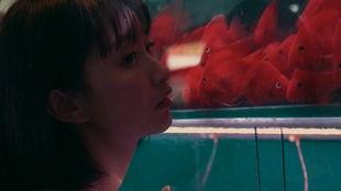 吃瓜少女全集视频,揭秘娱乐圈背后的秘密与真相