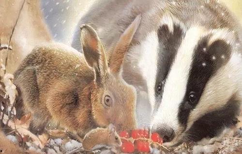 小獾默默吃瓜,揭秘瓜界那些事儿