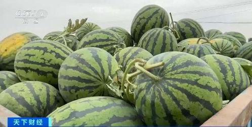 陈硕吃瓜,揭秘娱乐圈幕后真相