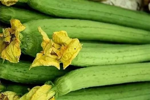 吃瓜不如看瓜什么意思,从“吃瓜不如看瓜”看网络时代的围观文化