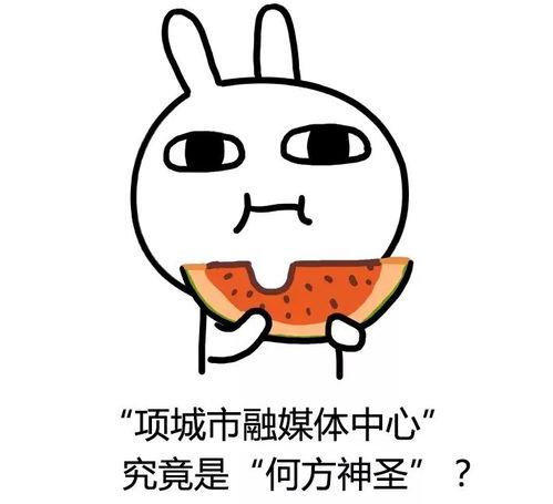 吃瓜老刘课程,揭秘娱乐圈幕后故事，带你领略明星真实生活