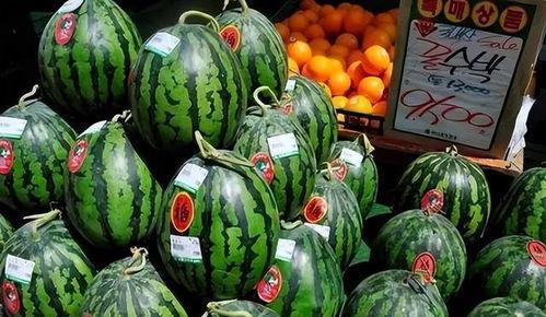 韩国瓜在哪里吃