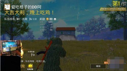 战神渡吃瓜小黑鸡,小黑鸡吃瓜大揭秘