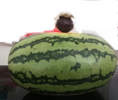 大家吃瓜的场景描写