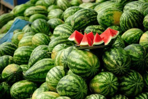 日照吃瓜大赛详情,吃瓜大赛精彩瞬间大盘点