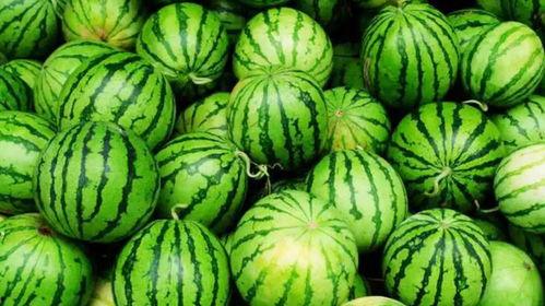 吃瓜跟工作,平衡娱乐与职业发展的智慧之道