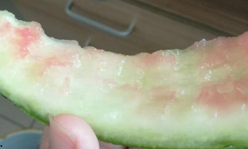 水果辣瓜怎么吃,探索水果辣瓜的多重美味吃法